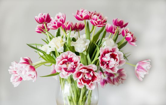 vase with red pink and white tulips on wooden plate 