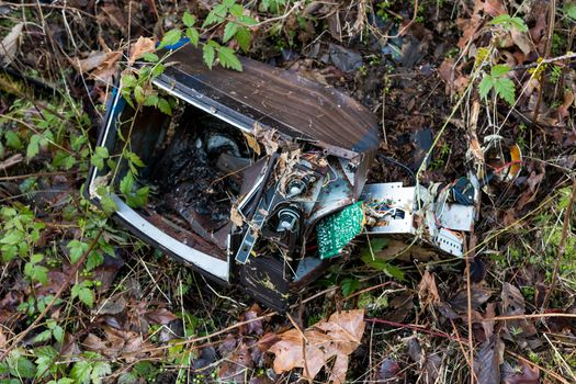 Dismantled smashed television set with plants and weeds growing in to the broken tube