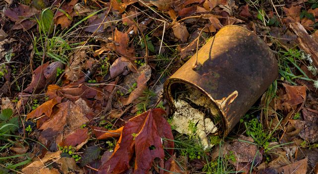 Old rusty paint can lying on the forest floor surrounded by leaves in the morning sunlight