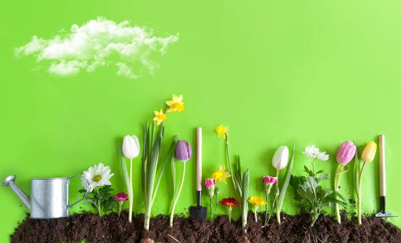 Spring flower bed garden on green paper background with space