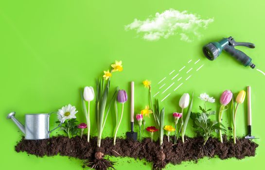 Spring flower bed garden with clouds, light bulb as the sun, and hose pipe with a sketch of water being sprayed 