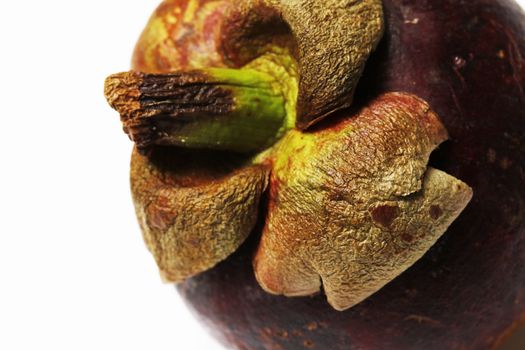 Mangostan - Exotic Fruit close up on white background