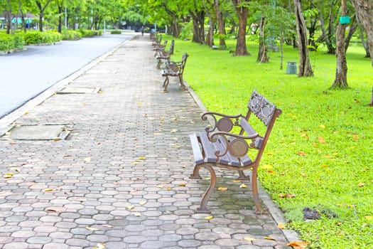 Steel chair on the sidewalk in the park. With green grass with the way