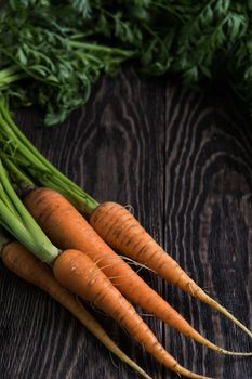 Freshly grown carrots on wooden table