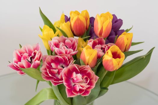 A bunch of spring tulips