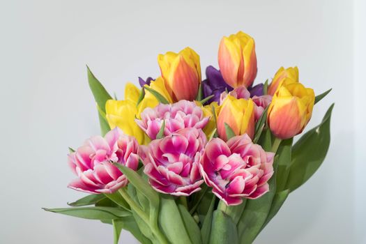 A bunch of spring tulips