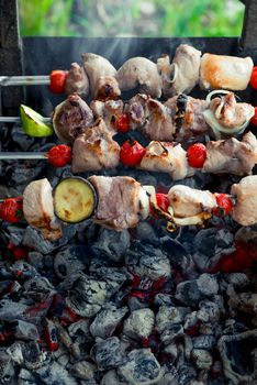 fried meat shish kebab with vegetables on skewers on a barbecue over coals