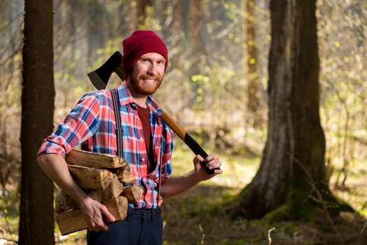 happy forester with a beard carries firewood and an ax, shooting in the woods