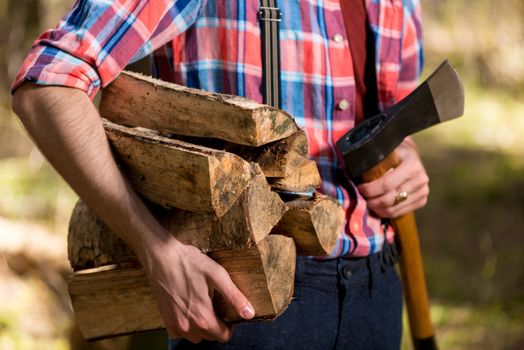 pile of firewood in the hands of a forester close-up