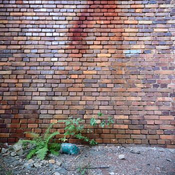 wide angle view of an old wall abandoned factory building