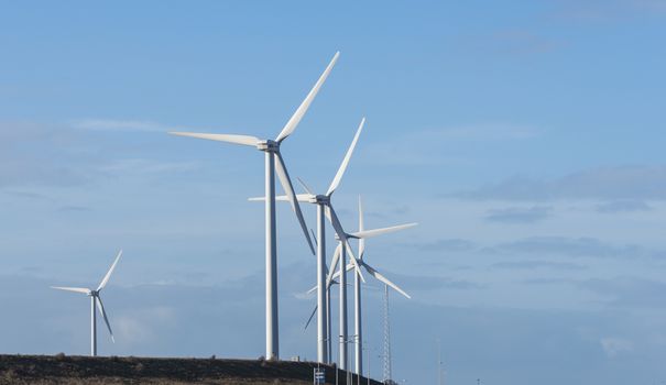 windmills in holland area europoort near rotterdam