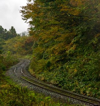 empty railroad track in autumn forest at Fukushima Japan