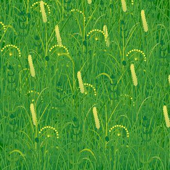 Background in the form of grass. Plants meadows and fields. Concept summer, nature, freshness, relaxation. Raster version