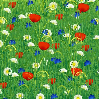 Summer meadow with herbs and flowers - poppy, chamomile, cornflower. Colorful background. Concept summer, nature, freshness