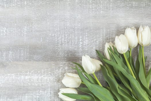 Many white tulips on light wooden surface. Beautiful romantic background with copy space. Wedding, birthday, easter, mother day, valentine day composition.