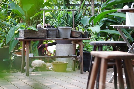 wooden stool in green Garden