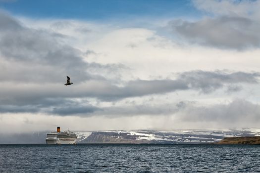 Cruise ship stopped in front of the mountains in Isafjordur, Iceland