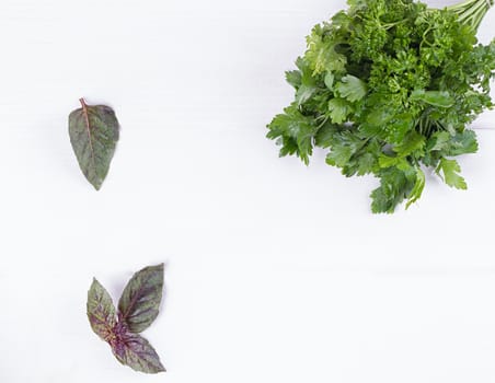 mixed bunch of fresh parsley and dill