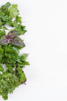 Fresh herbs frame : parsley, dill, celery, thyme, marjoram lovage tarragon sage place for text