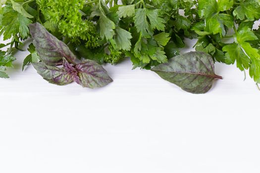 Fresh herbs frame : parsley, dill, celery, thyme, marjoram lovage tarragon sage place for text