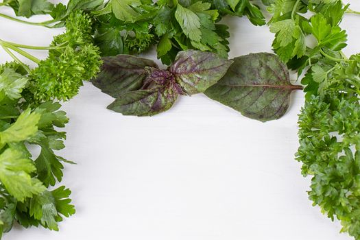 Fresh herbs frame : parsley, dill, celery, thyme, marjoram lovage tarragon sage place for text