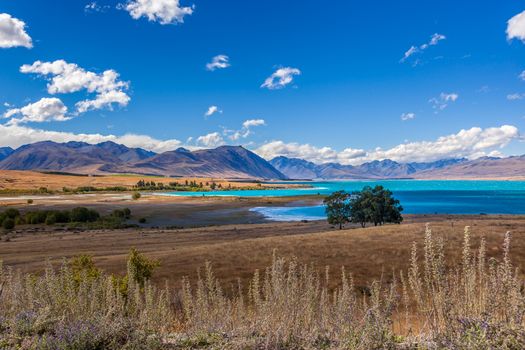 Distant View of Lake Tekapo on a Summer's Day