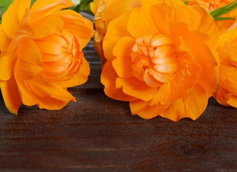 Beautiful orange flowers on a wooden background