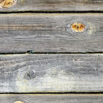 The fence from wooden boards close up