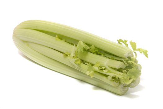Close view of a celery vegetable on a white background.