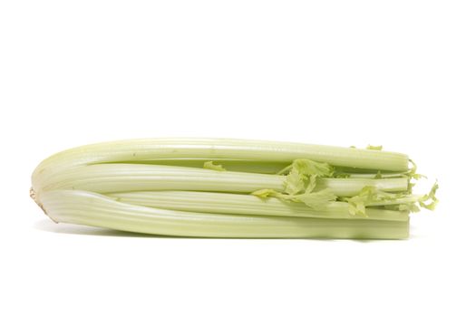Close view of a celery vegetable on a white background.