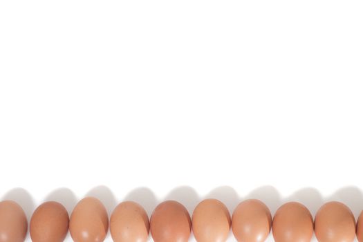eggs aligned horizontally isolated on a white background.