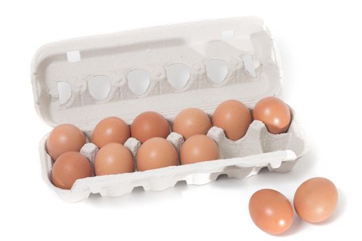 eggs inside cardboard package isolated on a white background.