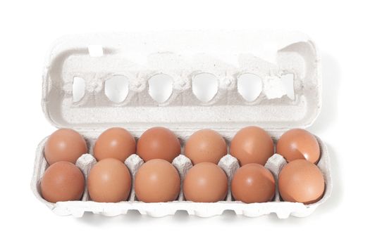 eggs inside cardboard package isolated on a white background.