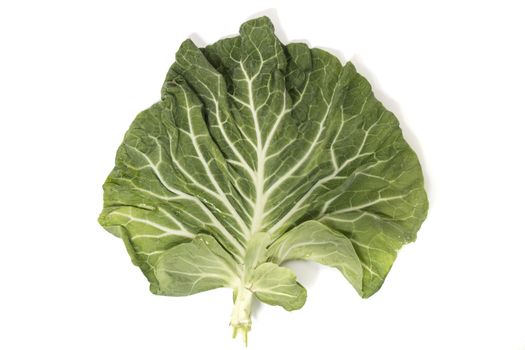 Green cabbage leaf isolated on a white background.