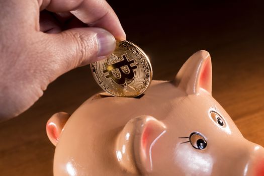 Male hand inserting bitcoin on porcelain piggy bank.