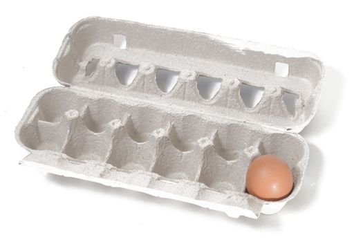 one single egg inside a cardboard package isolated on a white background.