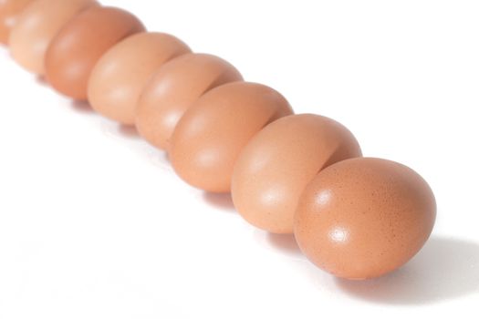 Many eggs aligned isolated on a white background.