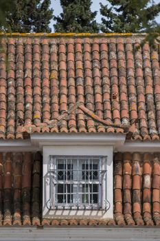 View of a typical Portuguese red tile roof.