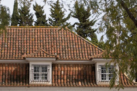 View of a typical Portuguese red tile roof.