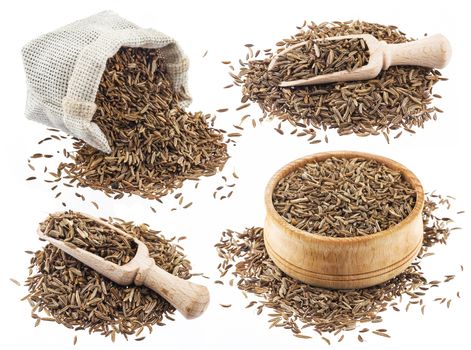Cumin or caraway seeds isolated on white background with clipping path. Collection