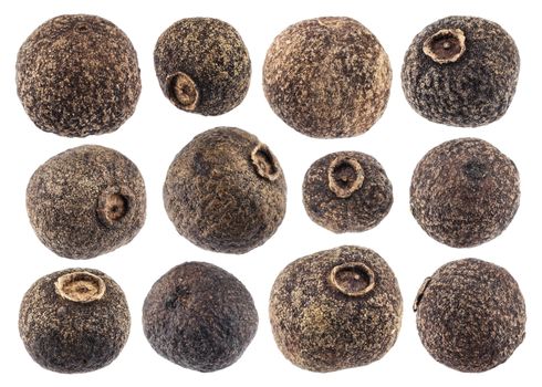 Allspice isolated on white background closeup. Black pepper collection