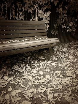 Wooden bench in autumn park, with fallen leaves on the ground. Vintage style sepia toned image.