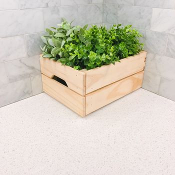 Green plant in a wooden box in the corner of a kitchen countertop. Home decor.