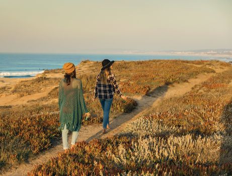 Two best friends walking on the coastline on a beautiful day