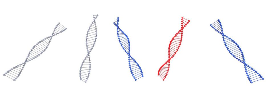 dna symbol blue and red on it isolated in white background - 3d rendering