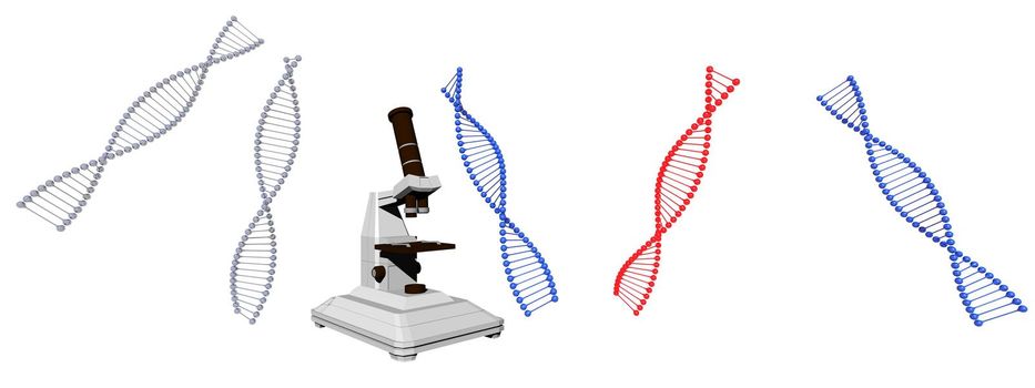 dna symbol blue and red on it isolated in white background - 3d rendering