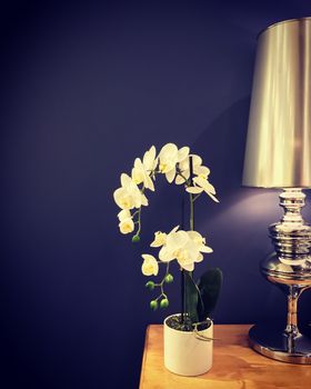 Beautiful white orchid and classic metal lamp on a blue wall background.