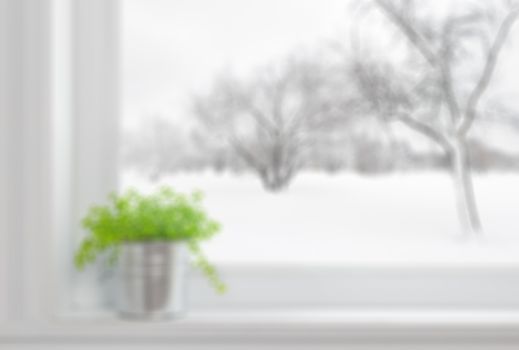 Defocused image of a green plant on a window sill, with winter landscape seen through the window. Can be used as background.