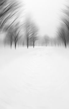 Trees in a winter park during a snowstorm. Motion blur effect.