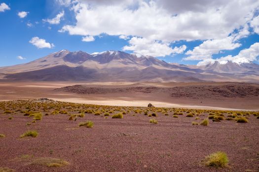 Altiplano mountains in sud Lipez reserva Eduardo Avaroa, Bolivia